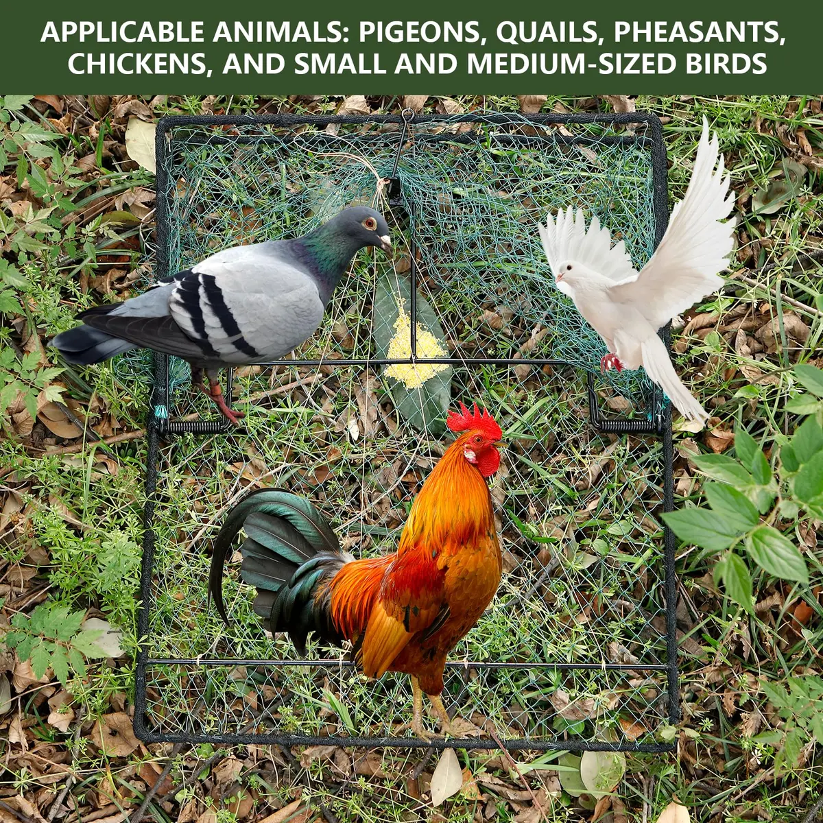 WillMesh Humane Pigeon Trap, Bird Trap for Quail, Turkey 50cm x 60cm | Live Catch & Easy Release - view 4