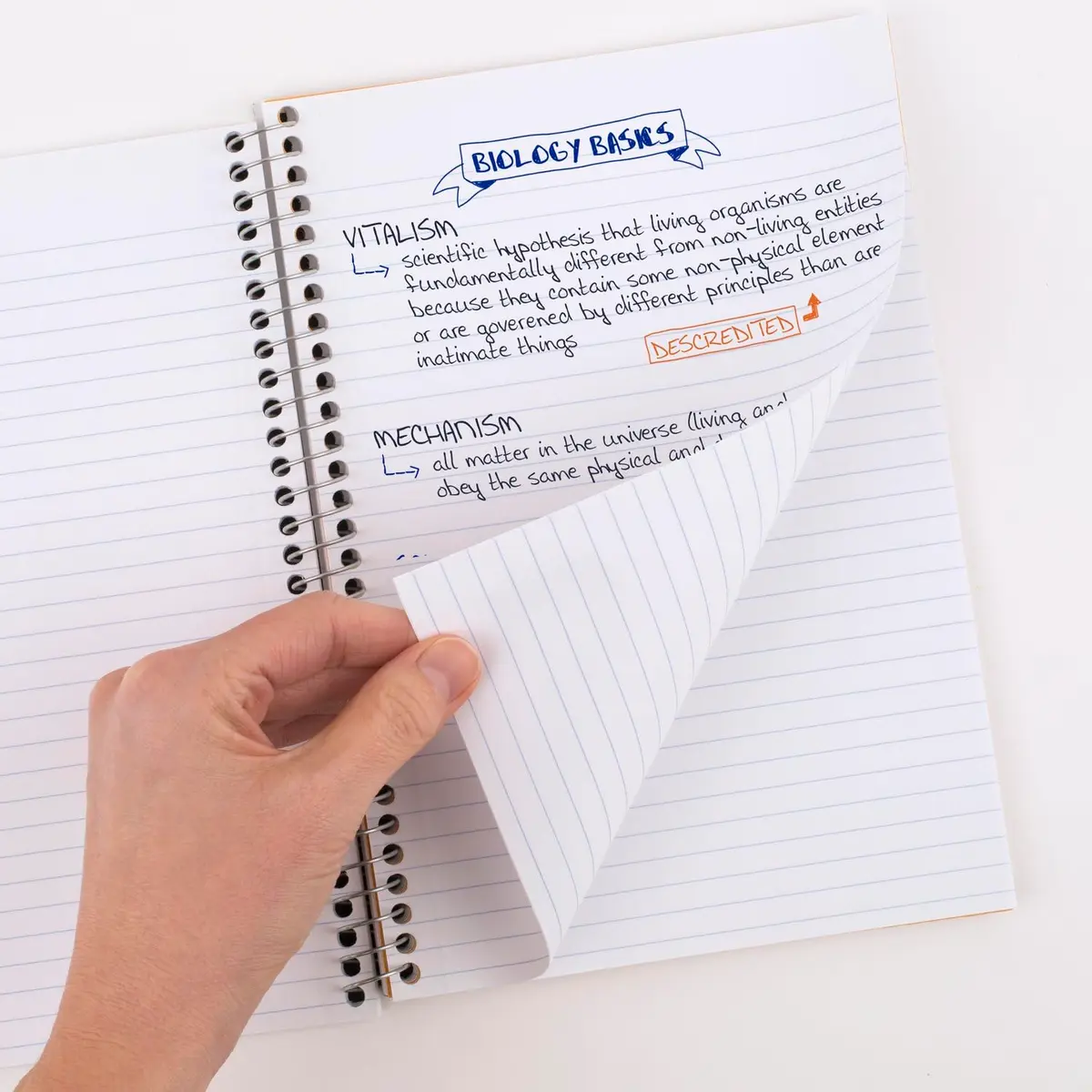 Five Star Spiral Notebook 2 Subject College Ruled 6" x 9 1/2" 80 Sheets Per Pack | 12-Pack Blue - view 2