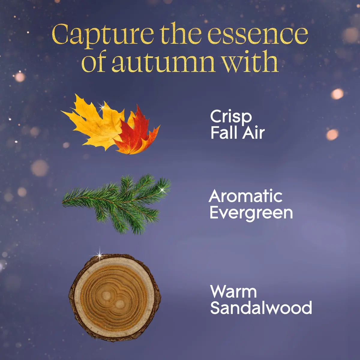 Glade PlugIns Scented Oil Refills Fall Night Long 167.5ml (5 x 33.5ml) | Festive Warmth for Indian Homes - view 3