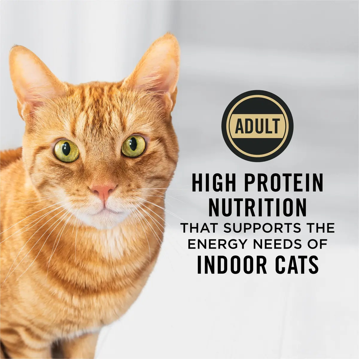 Purina Pro Plan Adult Indoor High Protein Cat Food 7 lb | Supports Lean Muscle & Weight - view 3