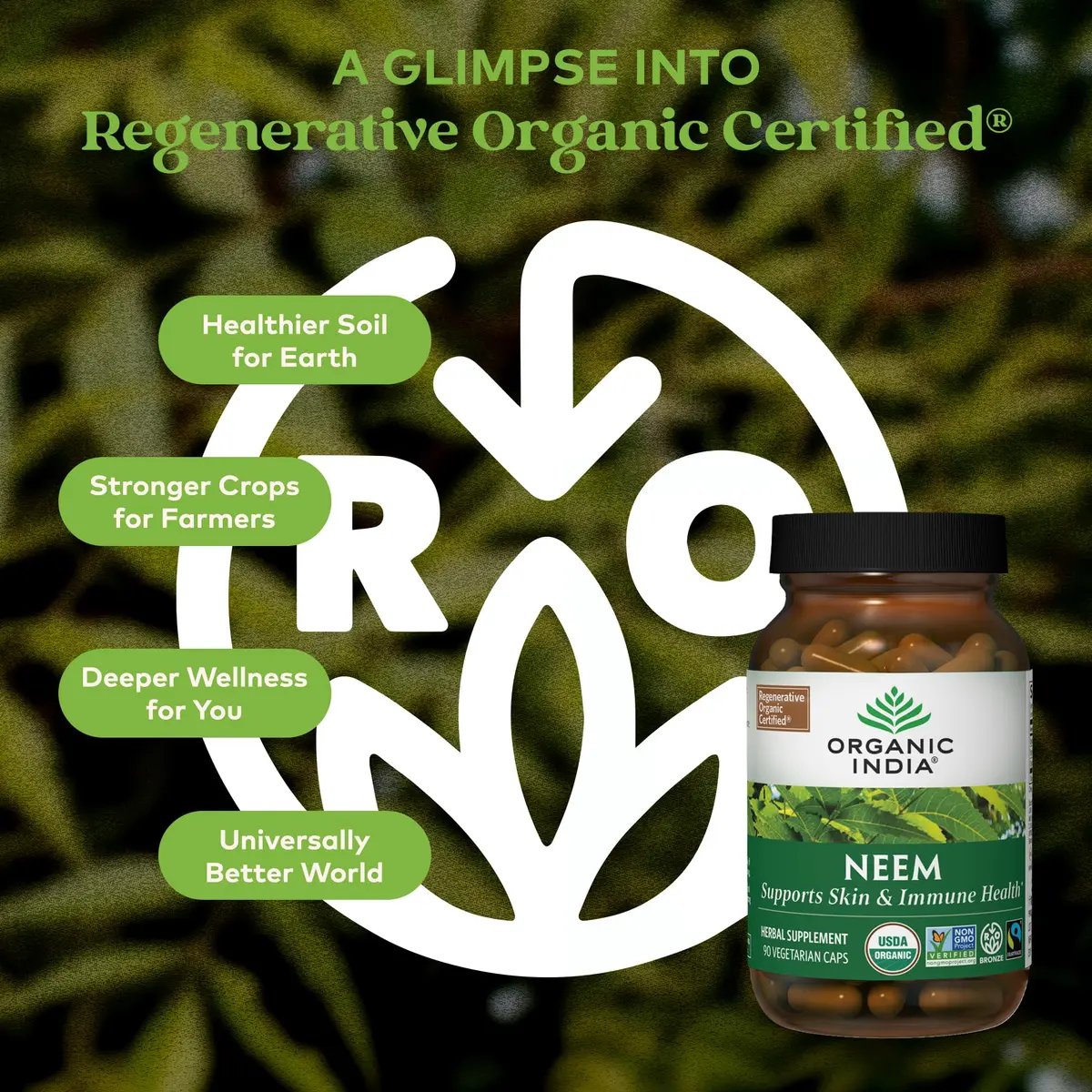 ORGANIC INDIA Neem Leaf Capsules, Herbal Supplement, Vegan, 90 Count | Supports Skin & Immunity - view 2