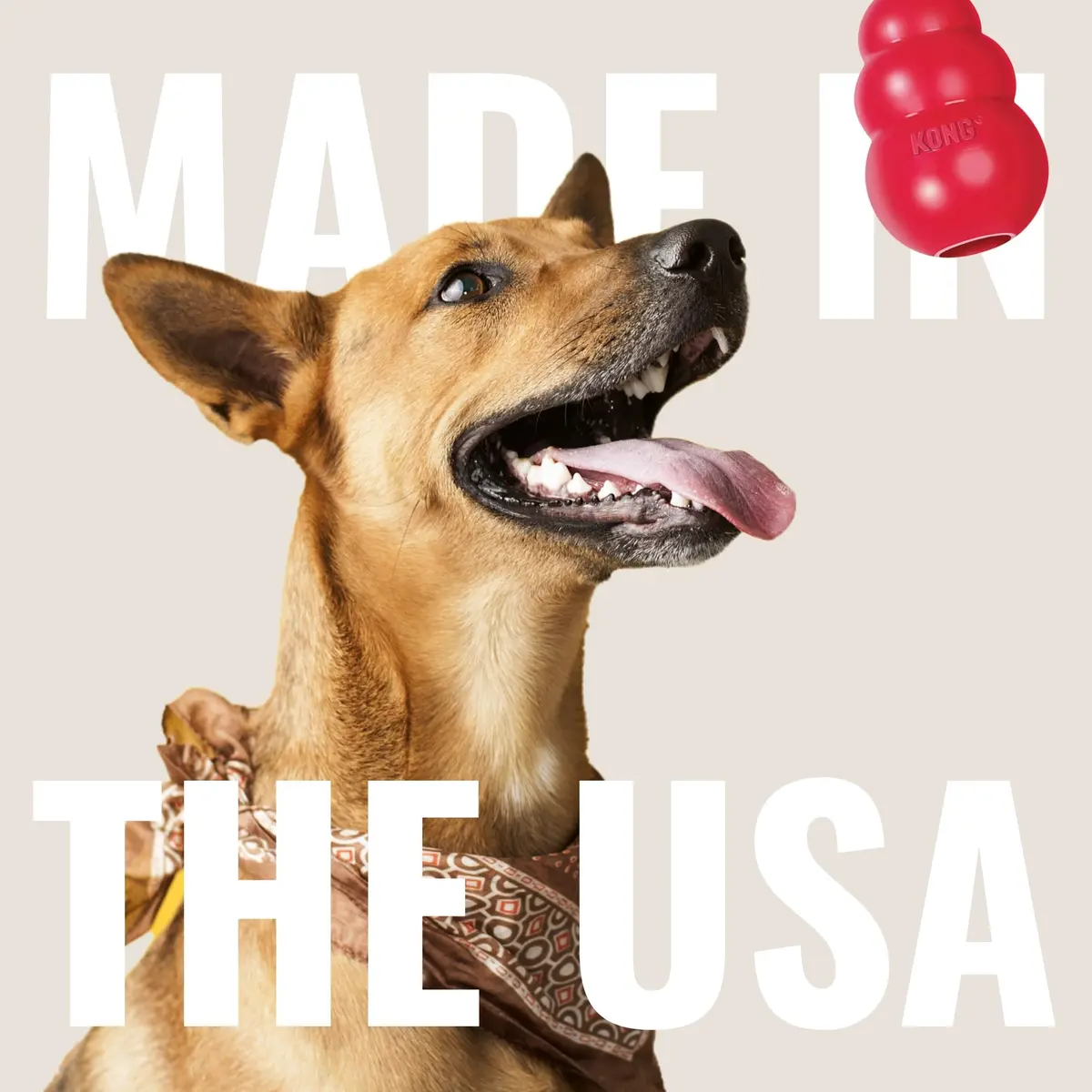 KONG Flyer Small Dog Flying Disc | Durable Natural Rubber Fetch Toy (Pack of 2) - view 5