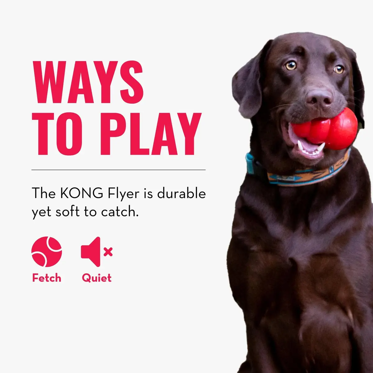 KONG Flyer Small Dog Flying Disc | Durable Natural Rubber Fetch Toy (Pack of 2) - view 4