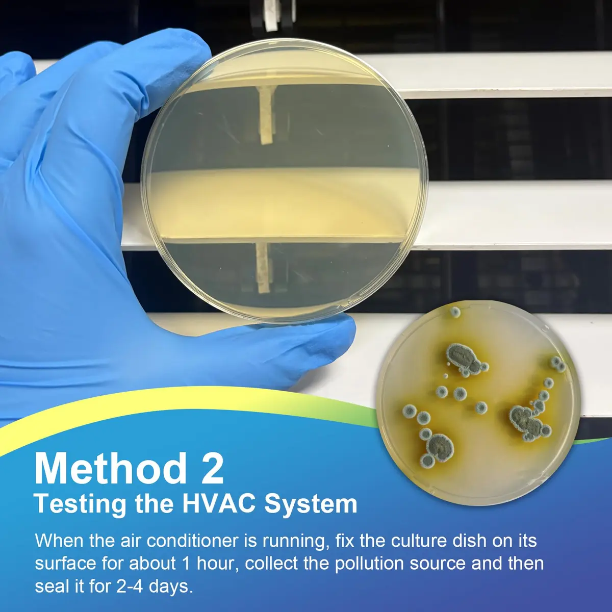 Generic Mold Test Kit for Home | Detect Indoor Mold & Air Quality, 12 Pack, Easy DIY Testing - view 5