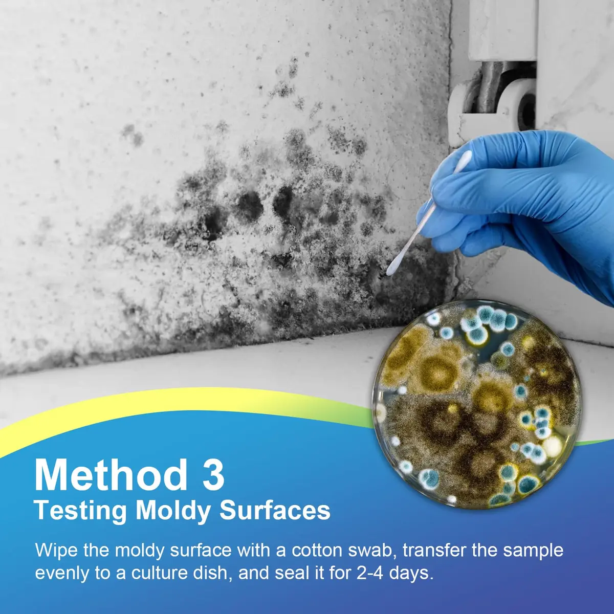 Generic Mold Test Kit for Home | Detect Indoor Mold & Air Quality, 12 Pack, Easy DIY Testing - view 6