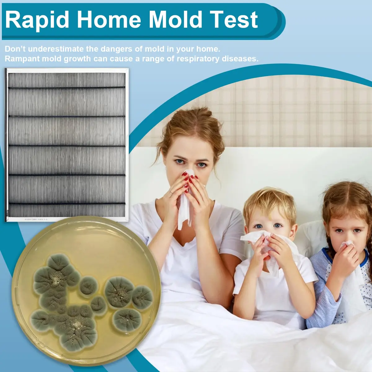 Generic Mold Test Kit for Home | Detect Indoor Mold & Air Quality, 12 Pack, Easy DIY Testing - view 2