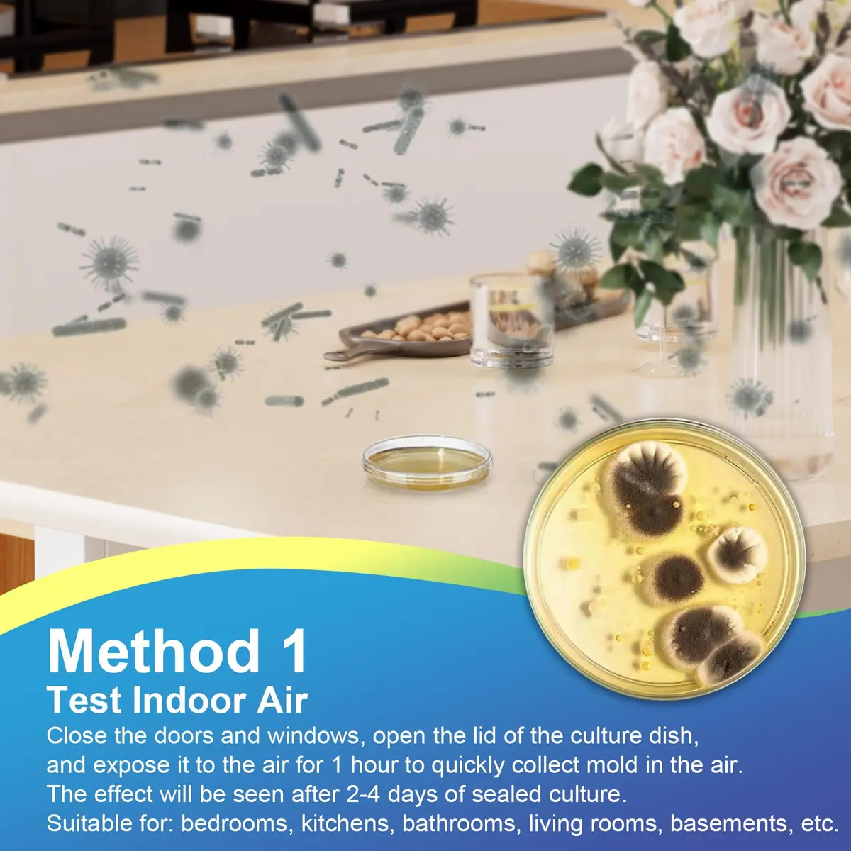 Generic Mold Test Kit for Home | Detect Indoor Mold & Air Quality, 12 Pack, Easy DIY Testing - view 4