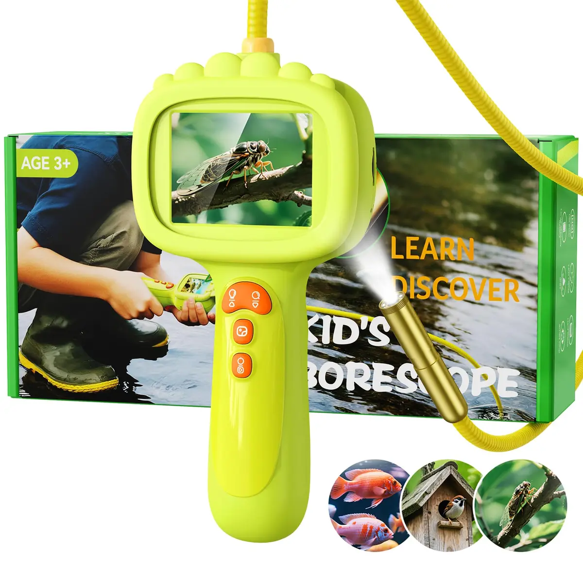 Ashfly Green Borescope Camera with Light for Kids, 7.9mm Lens & 2.4" HD Screen | STEM Educational Toy for Nature Exploration - main product image
