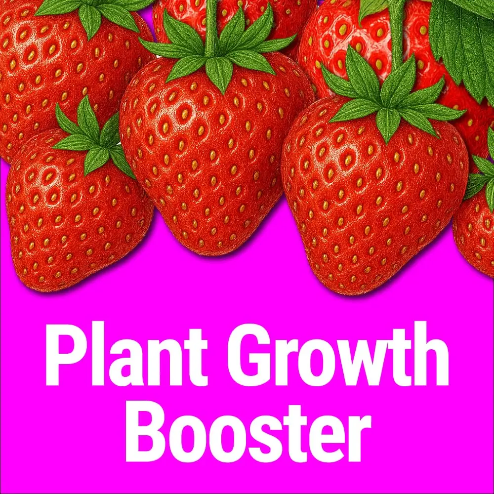 Messinas Seedlingers Super Yield Liquid Plant Food 32 fl oz | Microbial Soil Energizer for Flowers & Vegetables - view 3