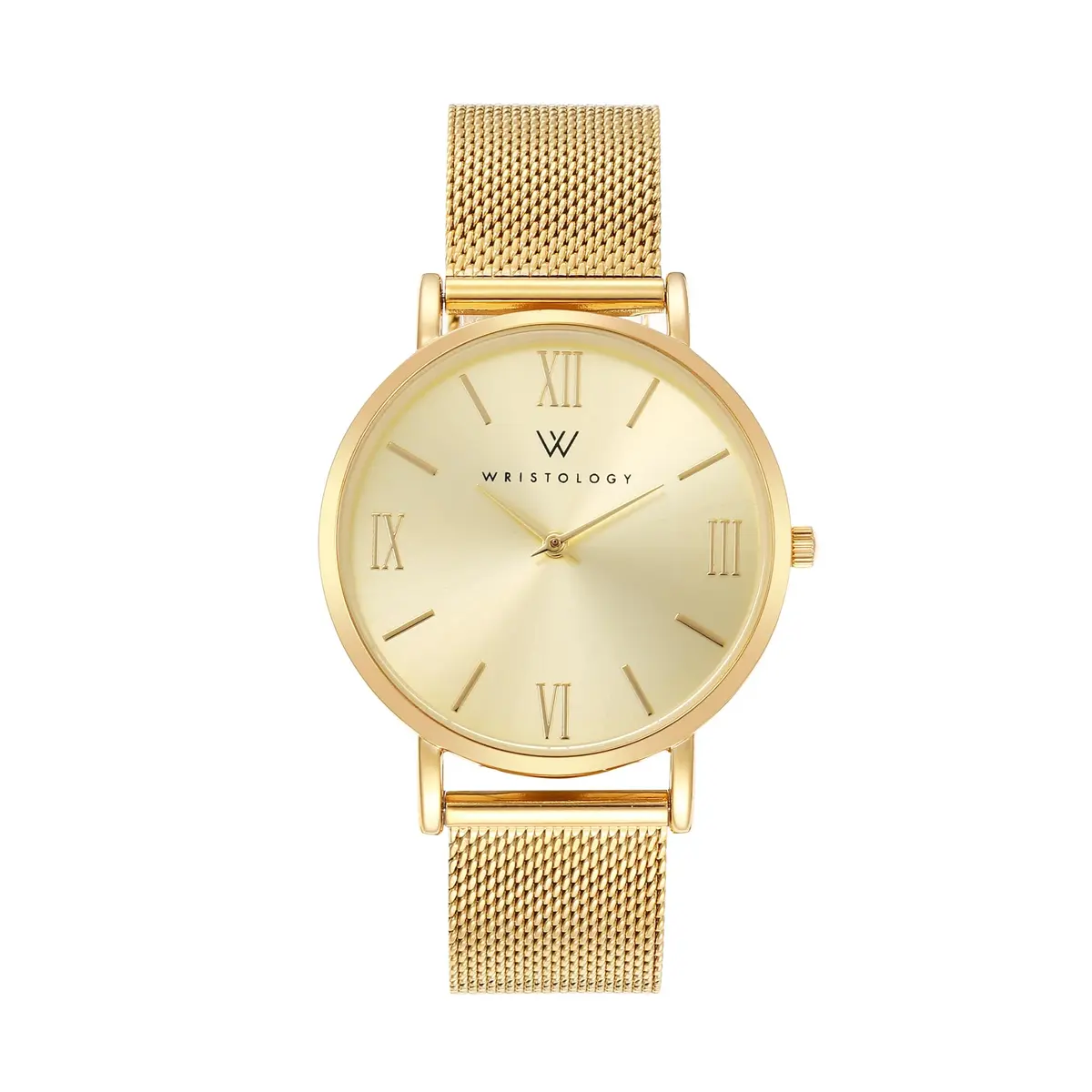 WRISTOLOGY Large face Roman Numerals Womens Watch with Easy Change Band | Clear Analog Face, 38mm, Gold - main product image