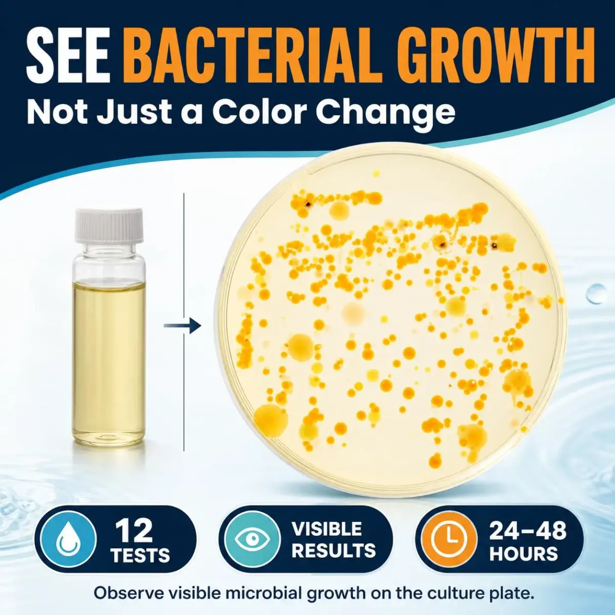 Funhaostar Bacteria Water Test Kit 12-Pack | Accurate Lab Analysis Included - view 3