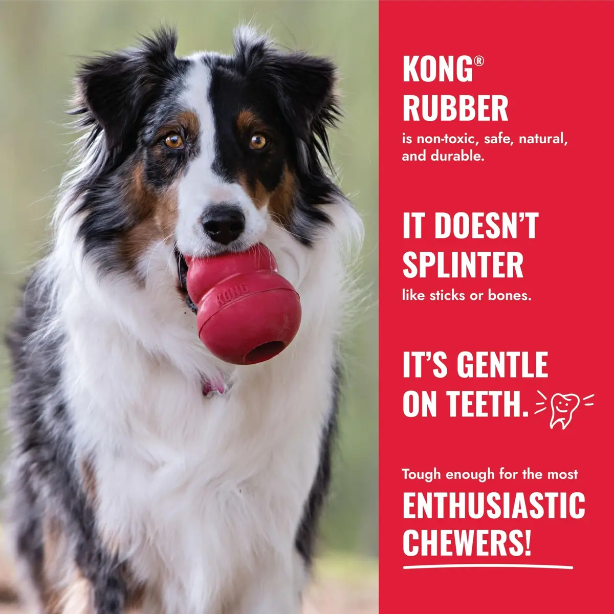 KONG Goodie Bone Natural Rubber Treat Toy for Extra Large Dogs | Durable Chew Toy for Aggressive Chewers - view 5