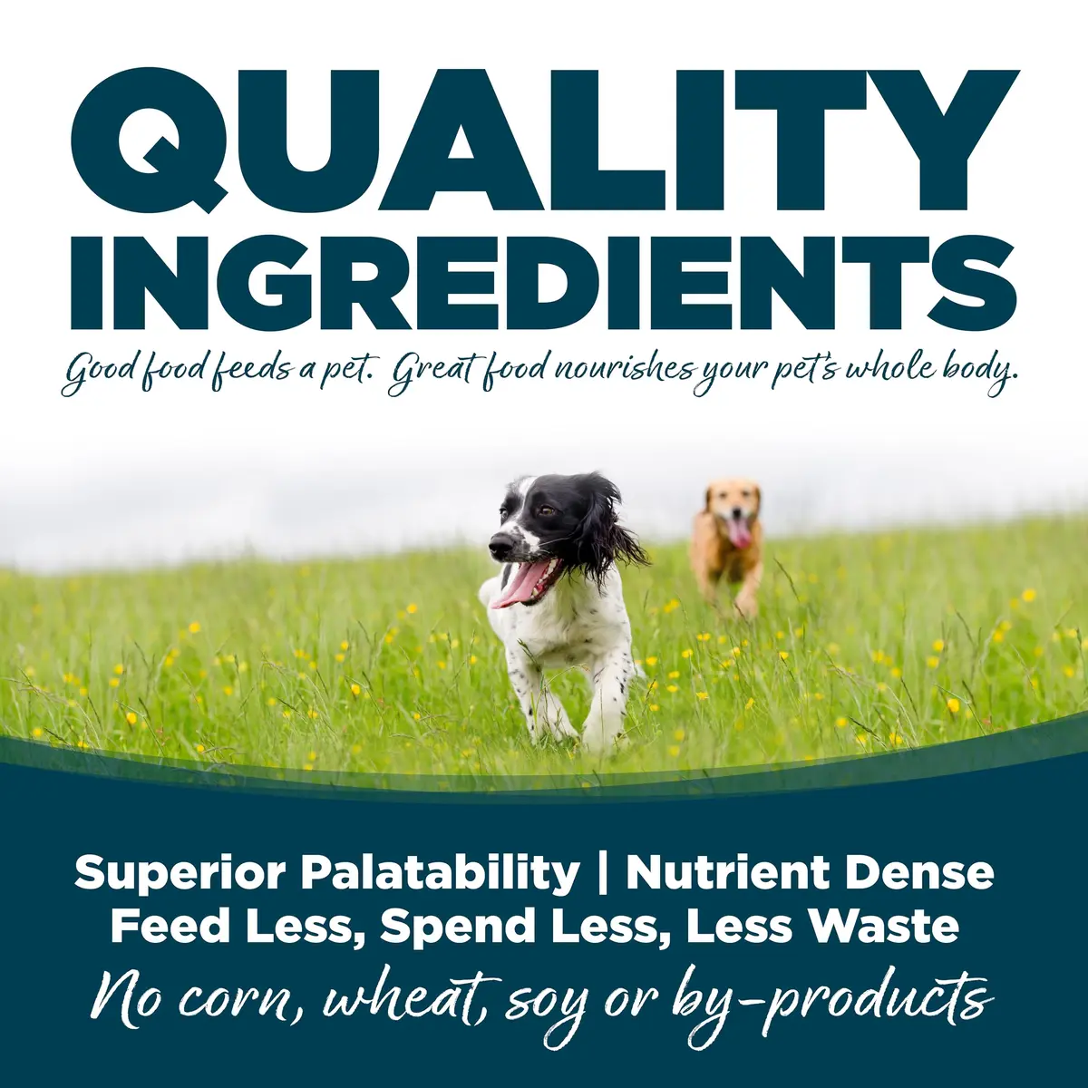 NutriSource Adult Chicken & Rice Small Bites Dog Food 4lb | Supports Gut & Coat Health - view 4