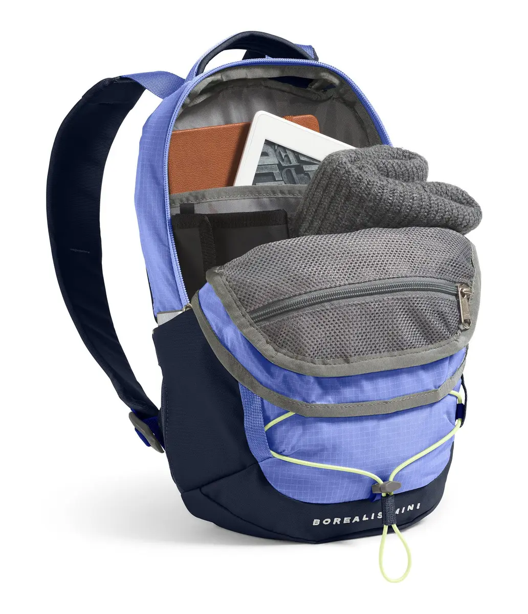 The North Face Borealis Mini Backpack 10L (22cm x 10.5cm x 34.3cm) | Iconic Durable Daypack for City Life - view 4