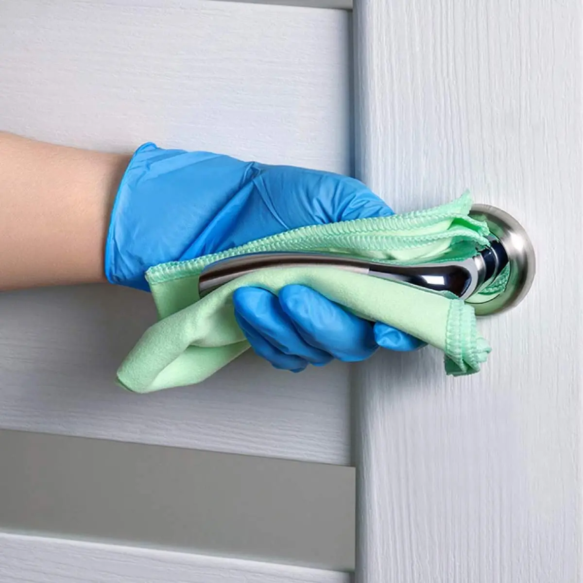 Intco Vinyl Gloves Medium | Powder-Free, Latex-Free Exam Gloves for Medical & Food Use - view 4