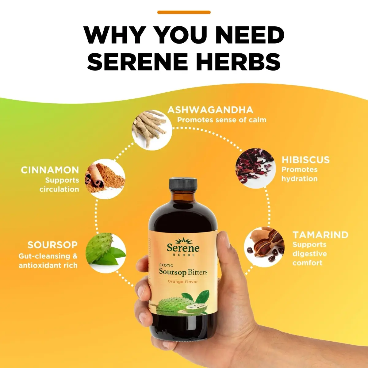 Serene Herbs Soursop Bitters Liquid 16 fl oz (473 ml) | Organic Gut Support, Energy & Immune Boost - view 3