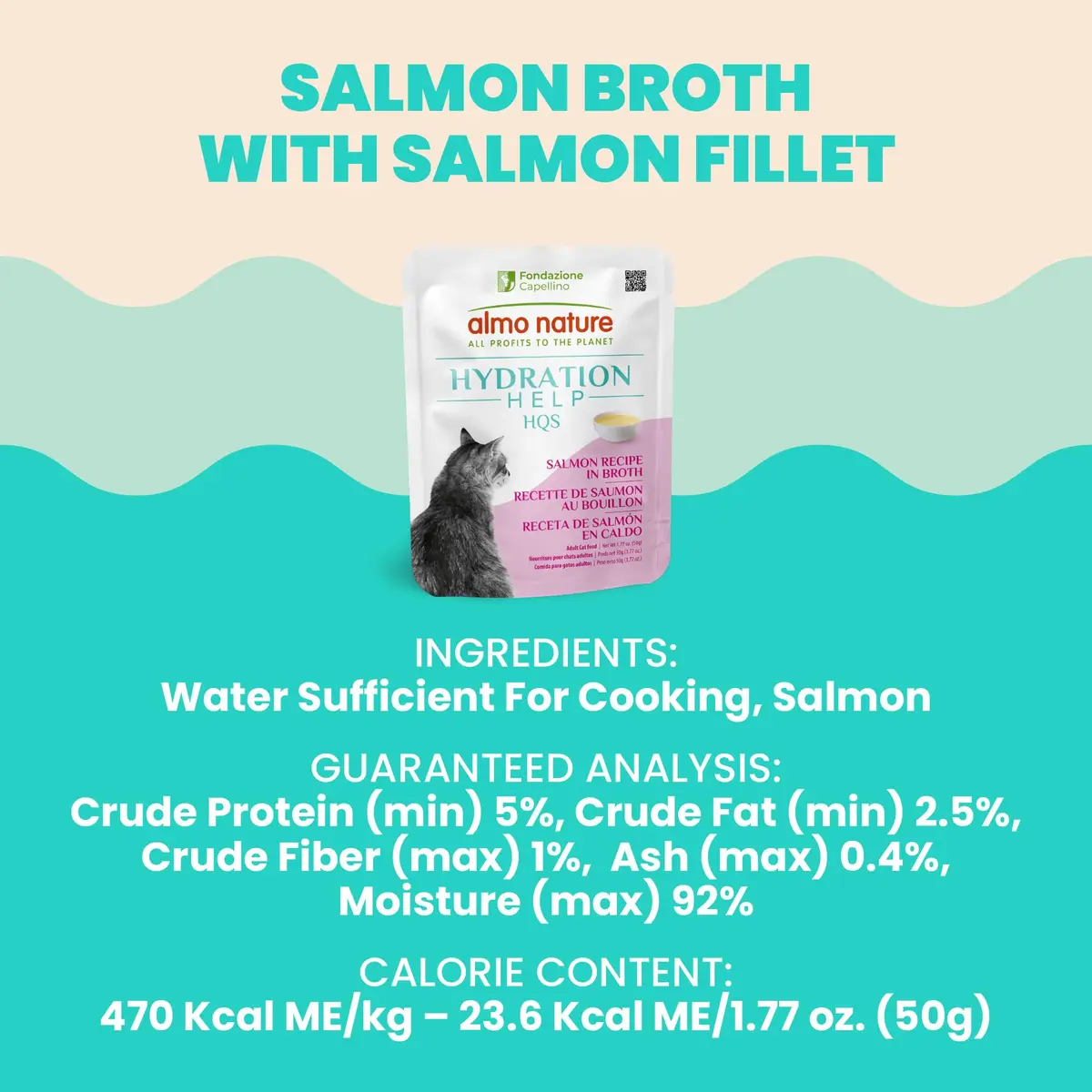 almo nature HQS Hydration Help - Wet Cat Food Salmon Broth with Salmon Fillet, Flake & Broth, 1.77oz Pack of 12 | Supports Hydration & Urinary Health - view 5