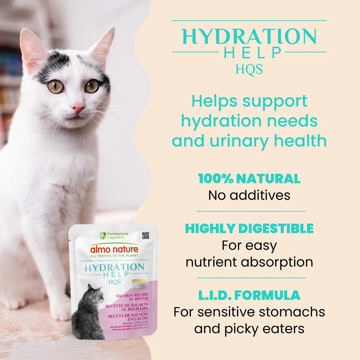 almo nature HQS Hydration Help - Wet Cat Food Salmon Broth with Salmon Fillet, Flake & Broth, 1.77oz Pack of 12 | Supports Hydration & Urinary Health - view 3