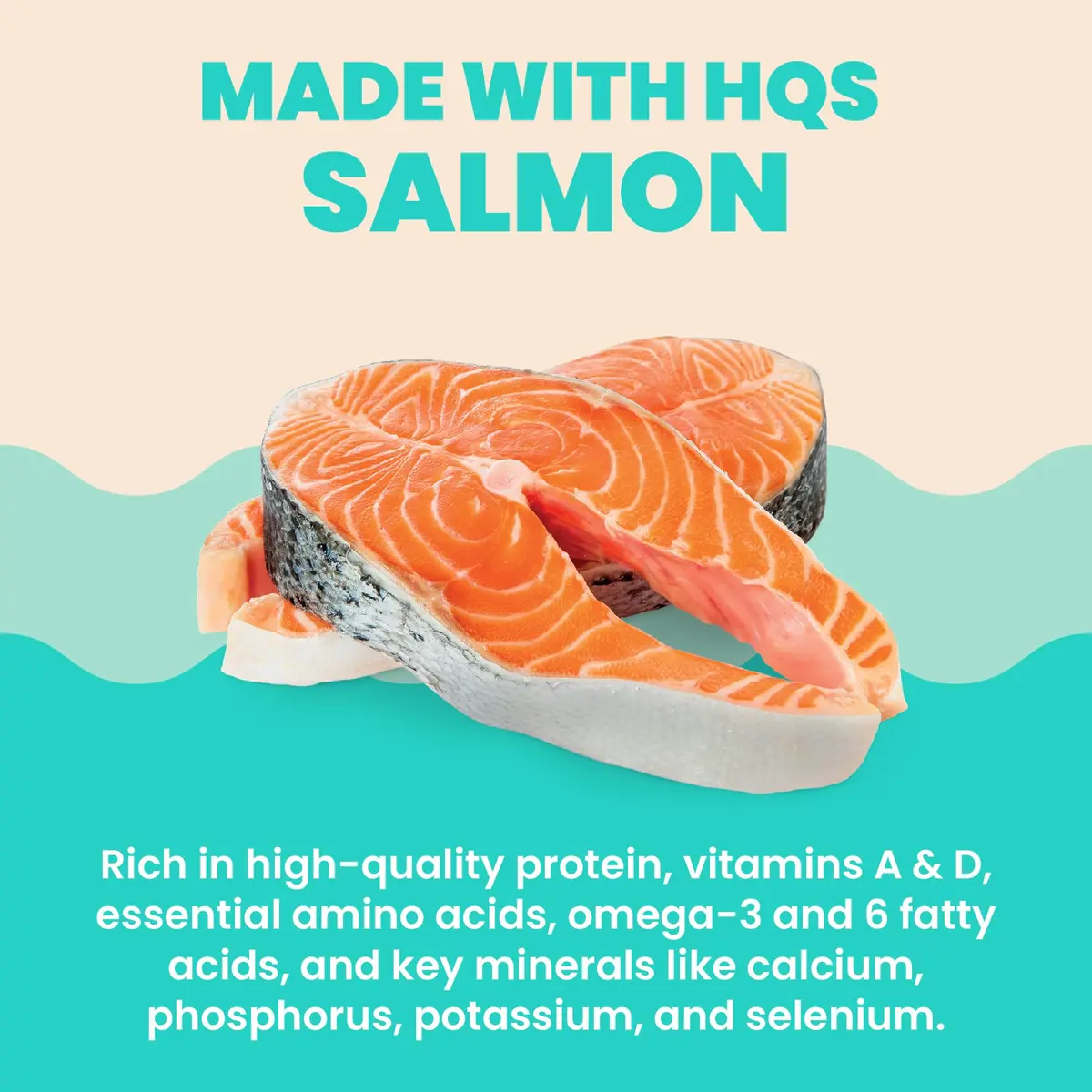 almo nature HQS Hydration Help - Wet Cat Food Salmon Broth with Salmon Fillet, Flake & Broth, 1.77oz Pack of 12 | Supports Hydration & Urinary Health - view 4