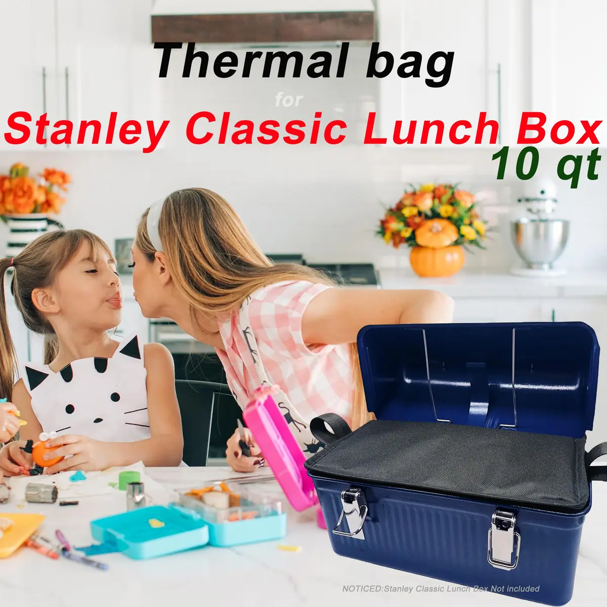 dtylean Insulated Bag for Stanley Classic Lunch Box 10qt (9.5L) | Waterproof Leakproof Thermal Cooler - view 2