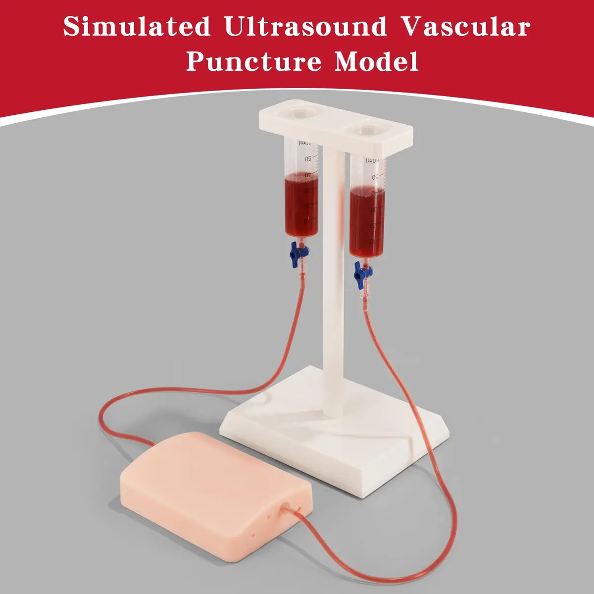 SimCoach Ultrasound-Guided Vascular Access Model, Ultrasonic Puncture Phantom | Realistic Training Experience - view 3