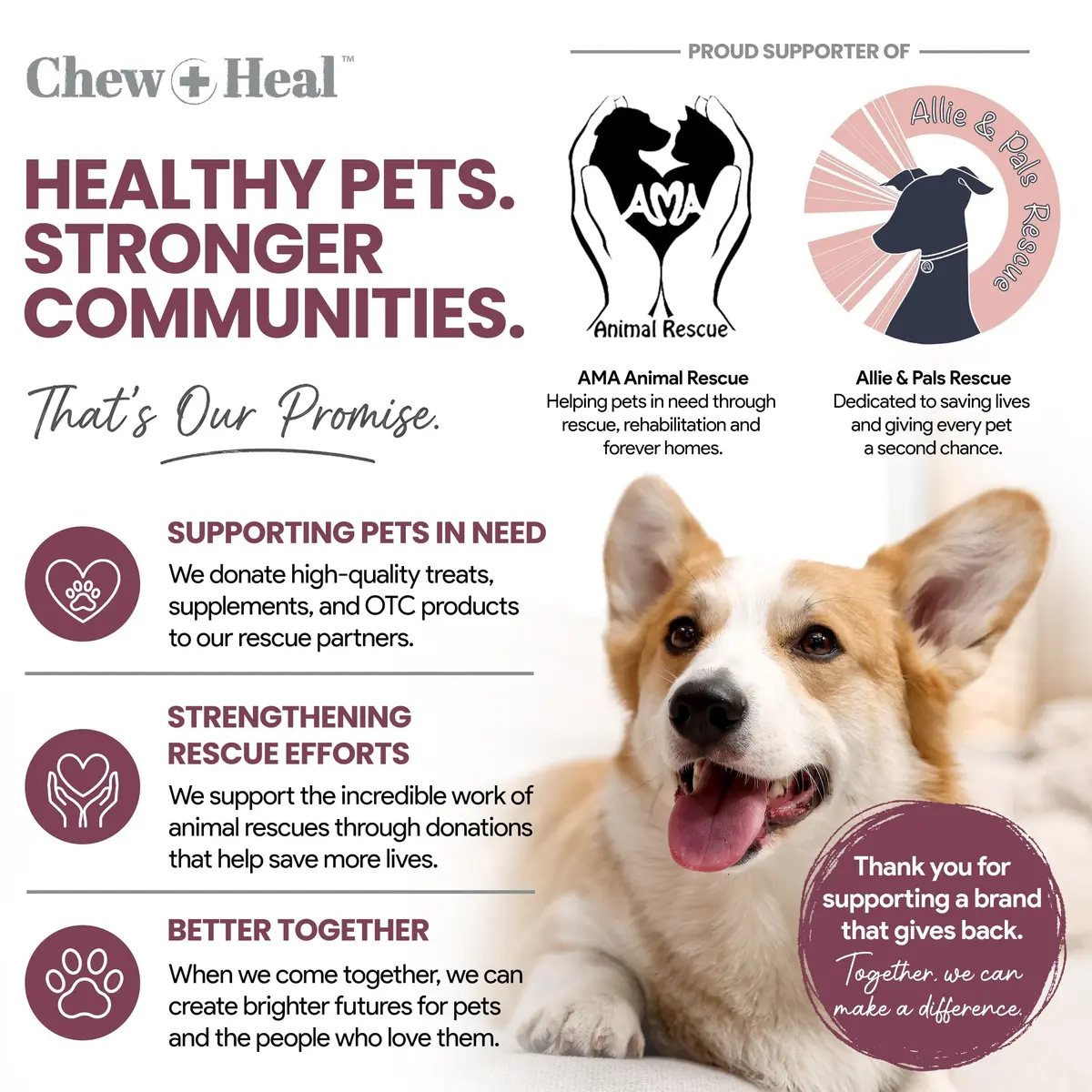 Chew + Heal Labs Senior Dog Multivitamin 120 Soft Chews | Supports Joints, Gut & Skin - view 7
