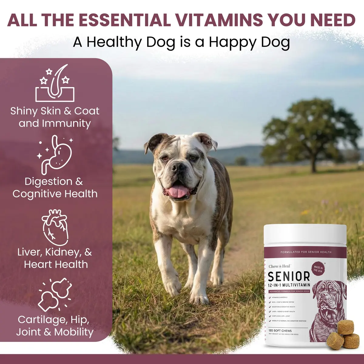 Chew + Heal Labs Senior Dog Multivitamin 120 Soft Chews | Supports Joints, Gut & Skin - view 3