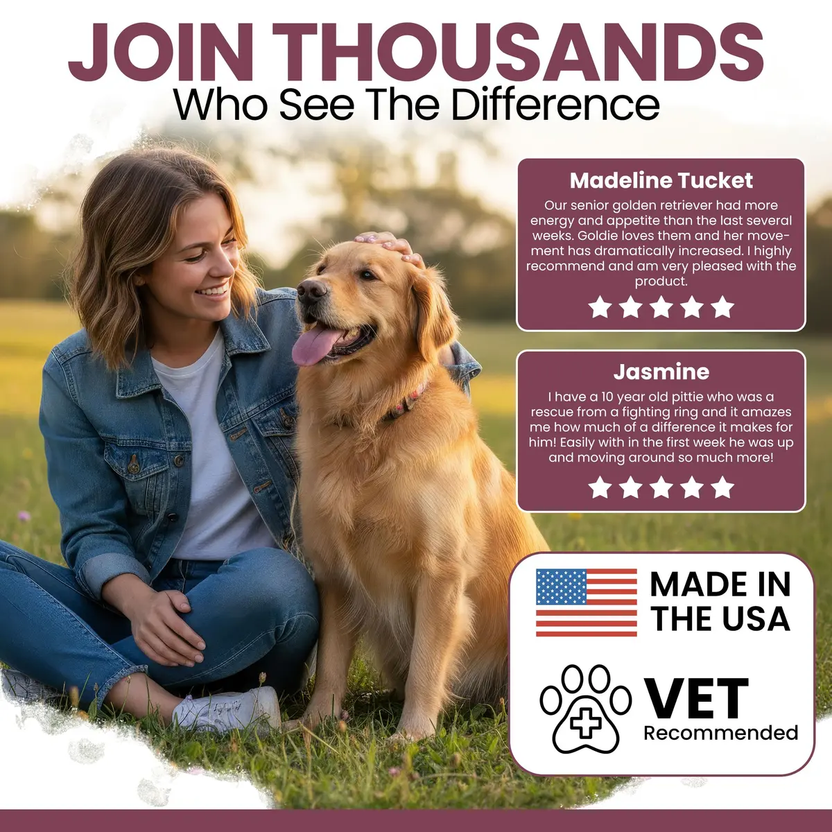 Chew + Heal Labs Senior Dog Multivitamin 120 Soft Chews | Supports Joints, Gut & Skin - view 4