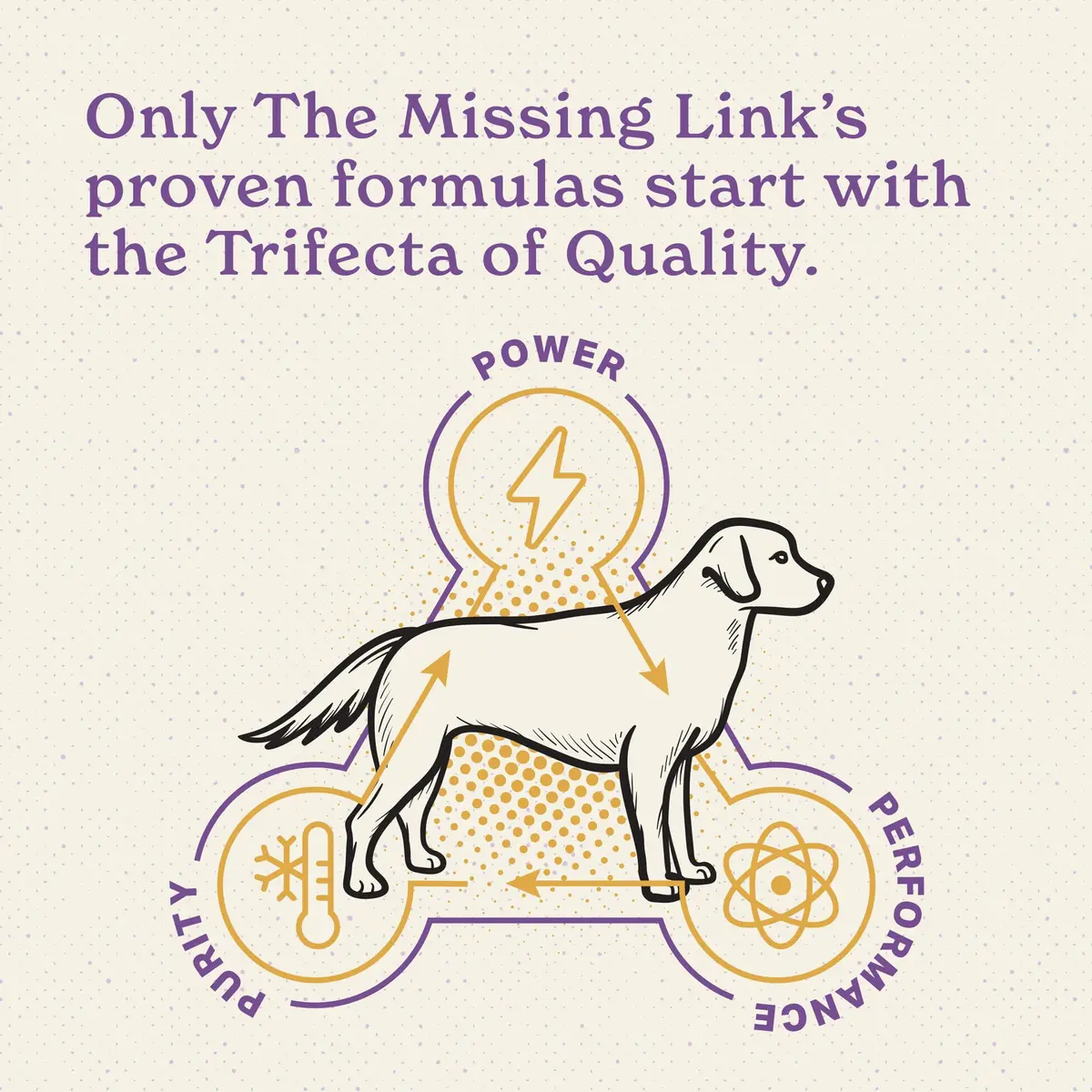 The Missing Link Senior Superfood Supplement Powder, Dogs, 1 lb (2pk) | Supports Bone, Skin, Brain & Memory - view 7