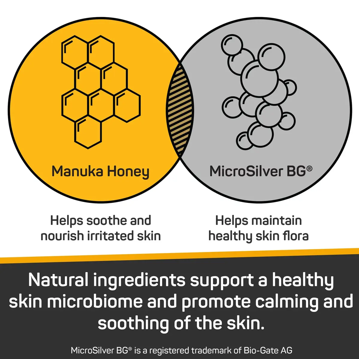 Silver Honey Skin & Coat Care Nourish & Soothe Shampoo 16 fl oz | Gentle, pH-Balanced, Odor Neutralizer for Dogs & Cats - view 5