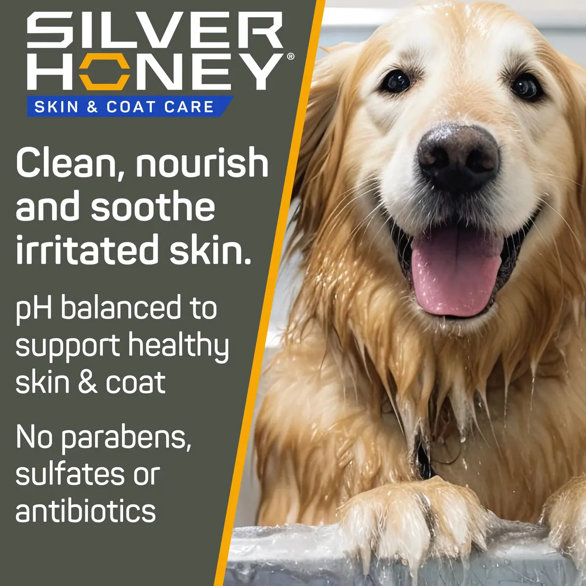 Silver Honey Skin & Coat Care Nourish & Soothe Shampoo 16 fl oz | Gentle, pH-Balanced, Odor Neutralizer for Dogs & Cats - view 2