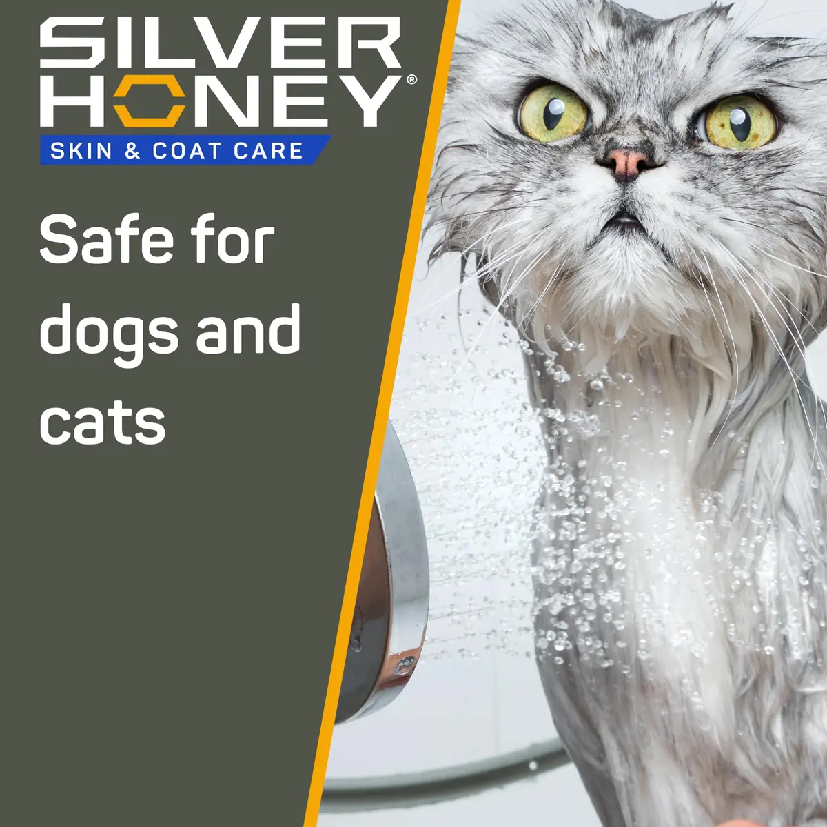 Silver Honey Skin & Coat Care Nourish & Soothe Shampoo 16 fl oz | Gentle, pH-Balanced, Odor Neutralizer for Dogs & Cats - view 3
