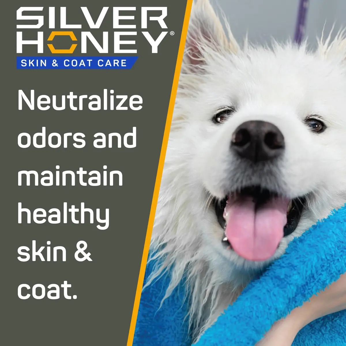 Silver Honey Skin & Coat Care Nourish & Soothe Shampoo 16 fl oz | Gentle, pH-Balanced, Odor Neutralizer for Dogs & Cats - view 4
