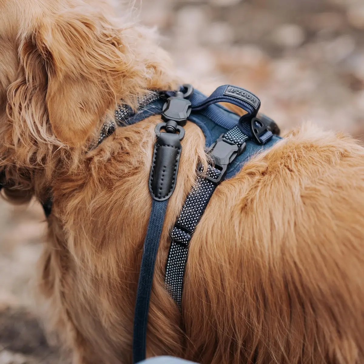 HOOZA Rope Leash Small 5/8" x 5' Blue Magnetic Quick Clip | Heavy-Duty Control & Seamless Attachment - view 3