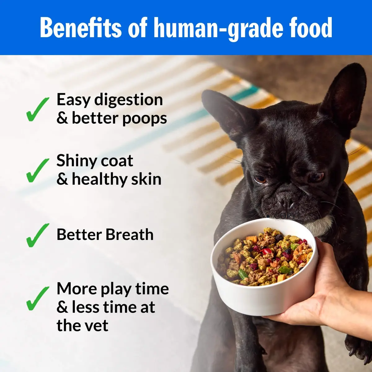 PetPlate Trail Blazin' Beef Air-Dried Dog Food 2lbs | Human-Grade, Grain-Inclusive, Supports Gut & Digestion - view 4