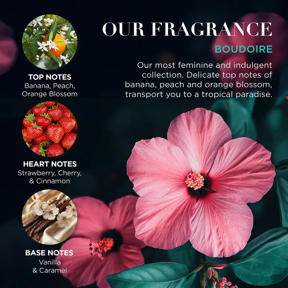 Baylis & Harding Boudoire Gift Set for Women | Tropical Paradise Fragrance, 6 Items, Vegan & Cruelty-Free - view 4