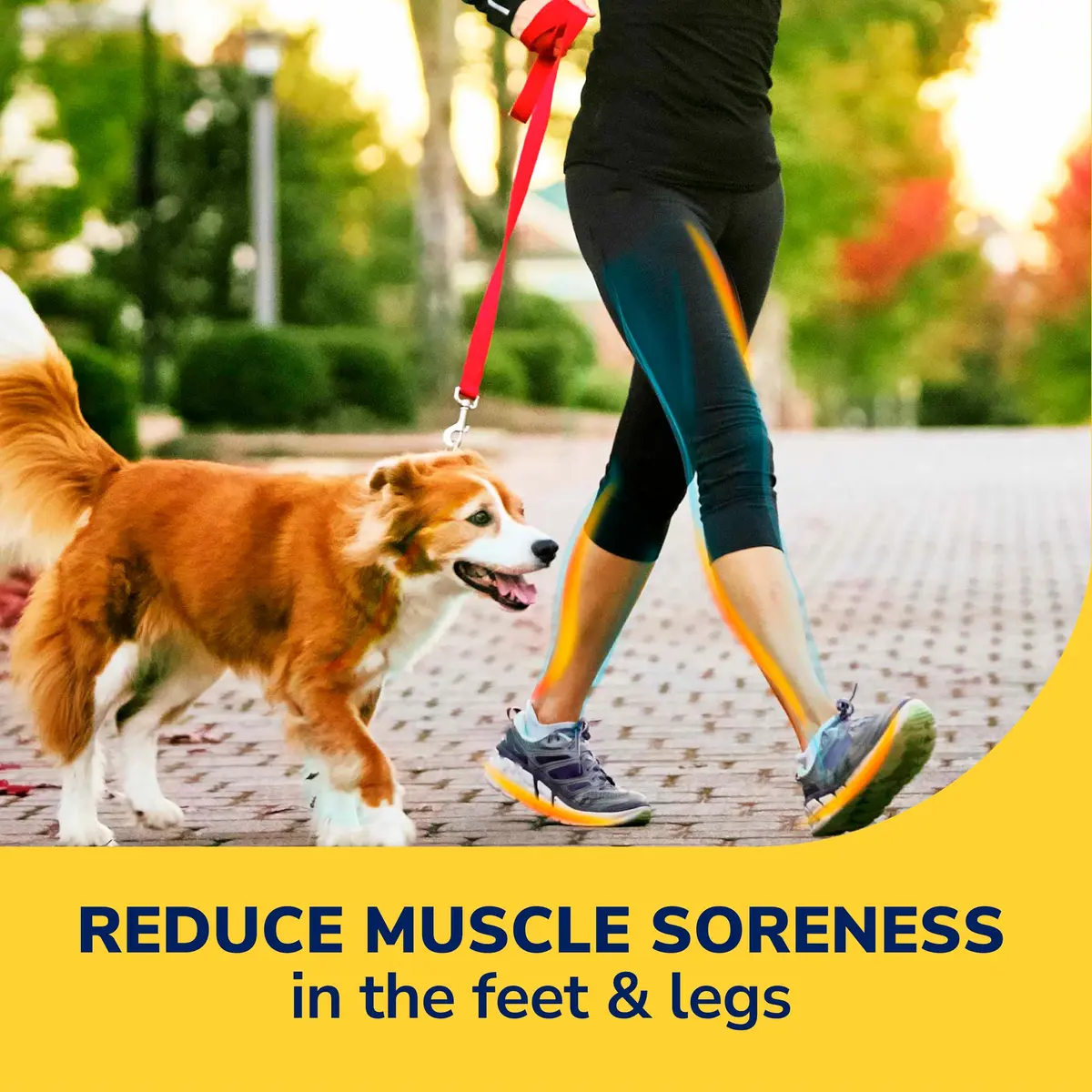 Dr. Scholl's Walk Longer Insoles for Women, Arch Support Shoe Inserts | Full-Length Foam Comfort & Odor Control - view 2