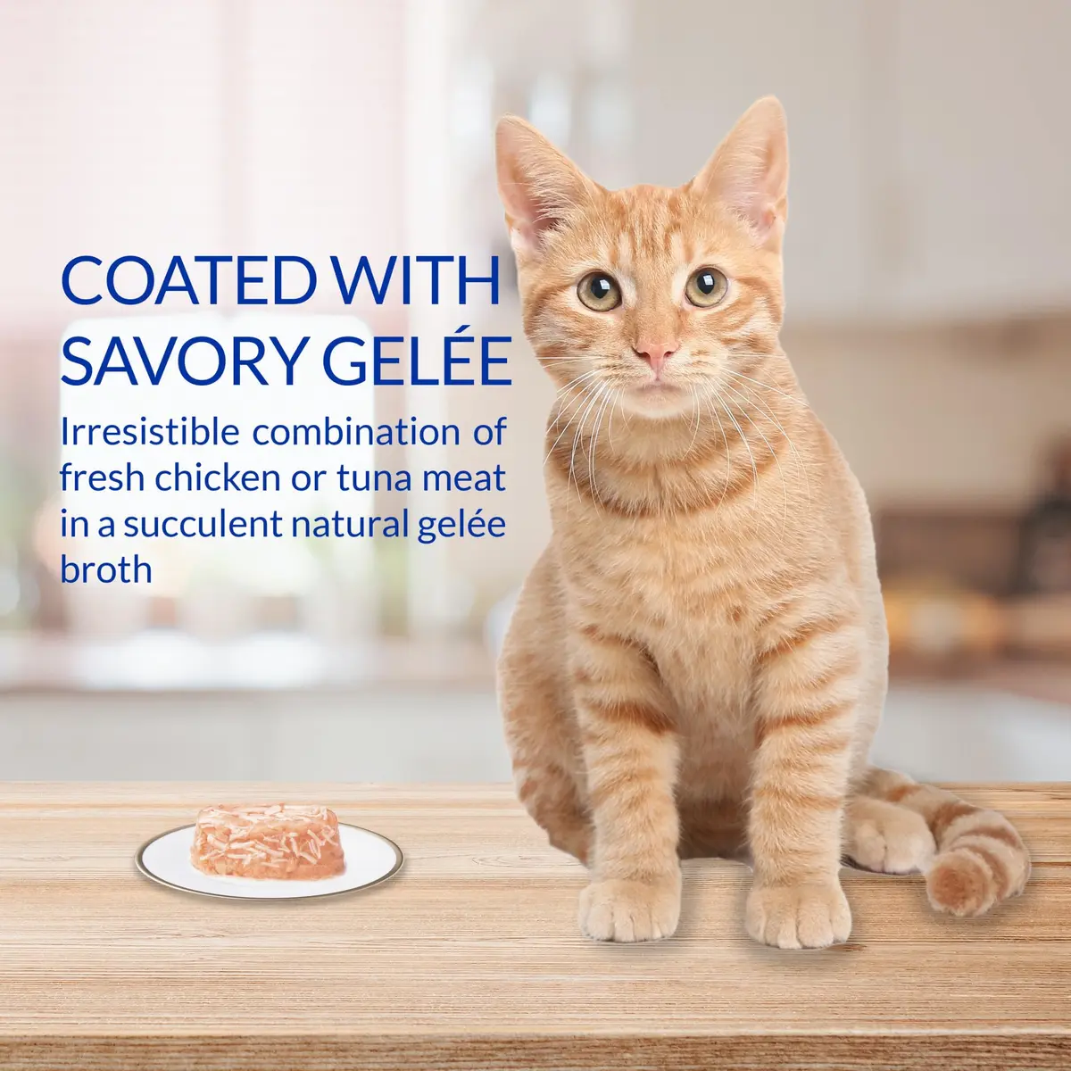 INABA Twins for Cats Tuna & Chicken with Scallop Recipe, 29.52ml (1.23 Fl Oz) per Serving | Hydrating Low-Calorie Cat Treat - view 3