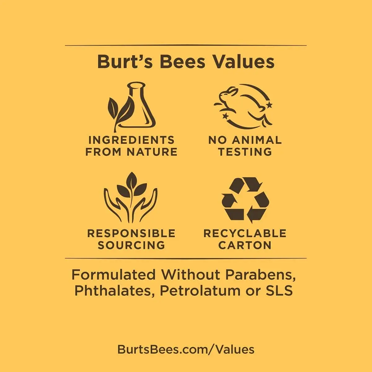 Burt's Bees Mango Lip Balm 0.15 oz (0.44 ml) | Natural Origin Conditioning Treatment - view 5