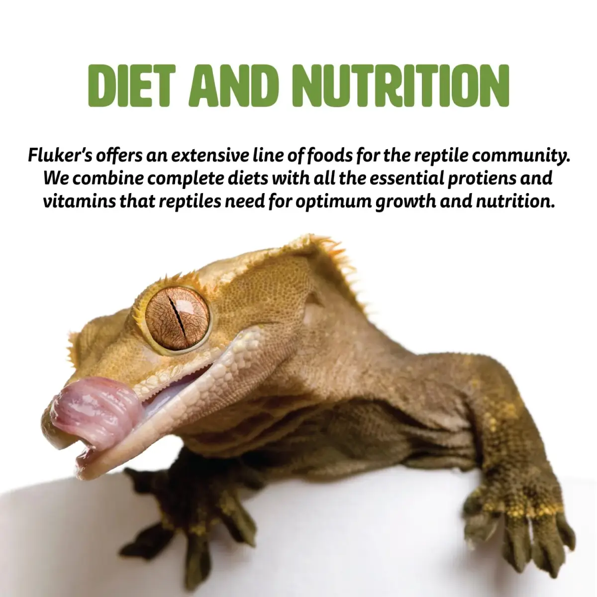 Fluker's Aquatic Turtle Diet Food Pellets 454g (16 oz) | Balanced Nutrition for Healthy Shell Growth - view 4
