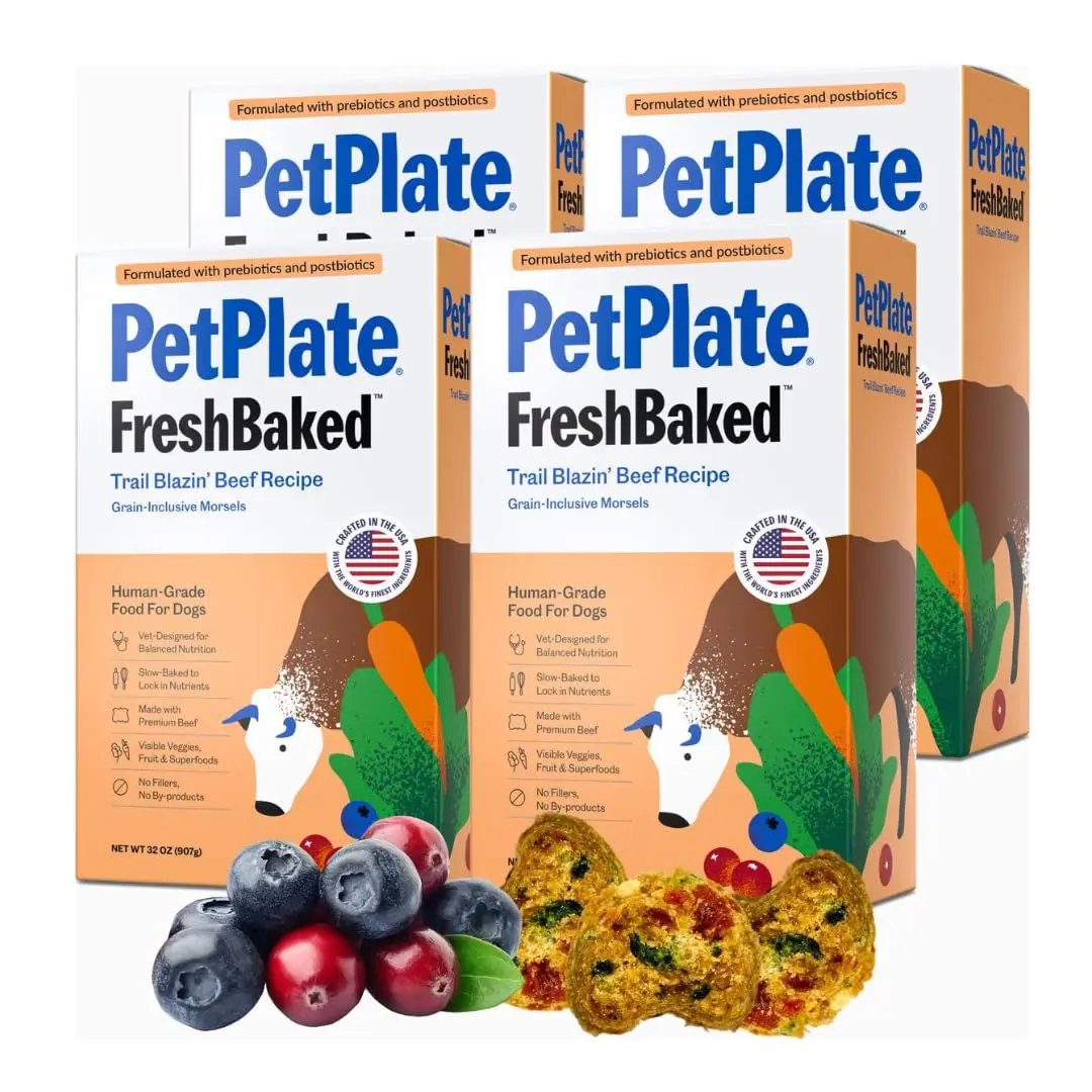 PetPlate Trail Blazin' Beef Air-Dried Dog Food | Human-Grade, Grain-Inclusive, 2lbs - main product image