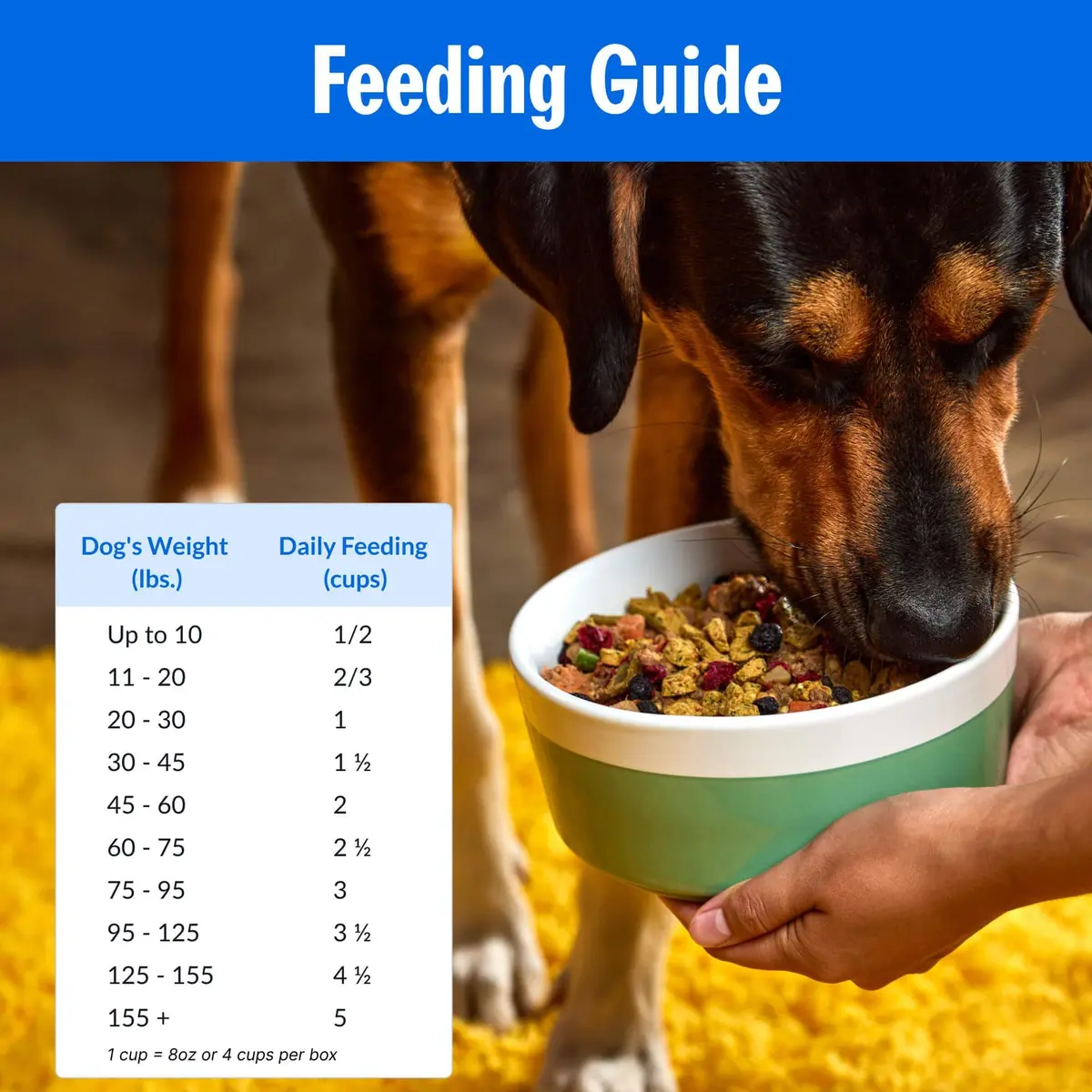 PetPlate Trail Blazin' Beef Air-Dried Dog Food | Human-Grade, Grain-Inclusive, 2lbs - view 7