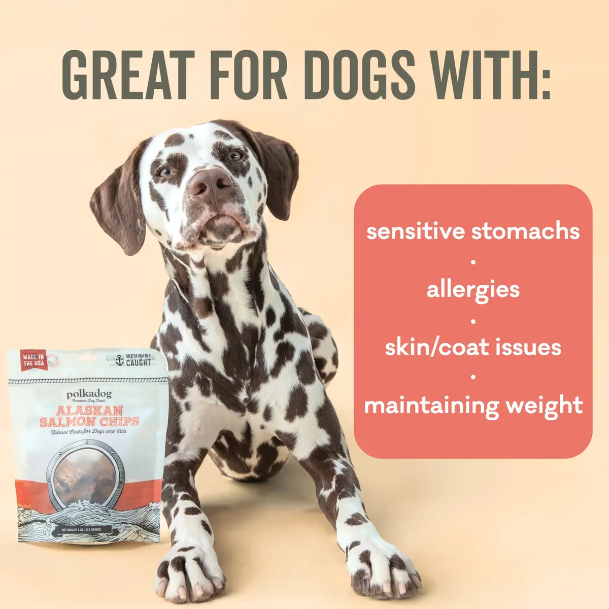 Polkadog Crunchy Alaskan Cod & Salmon Chip Dog Treats | Wild-Caught, Single-Ingredient, USA Made, 2.75oz (Variety 2Pk) - view 6