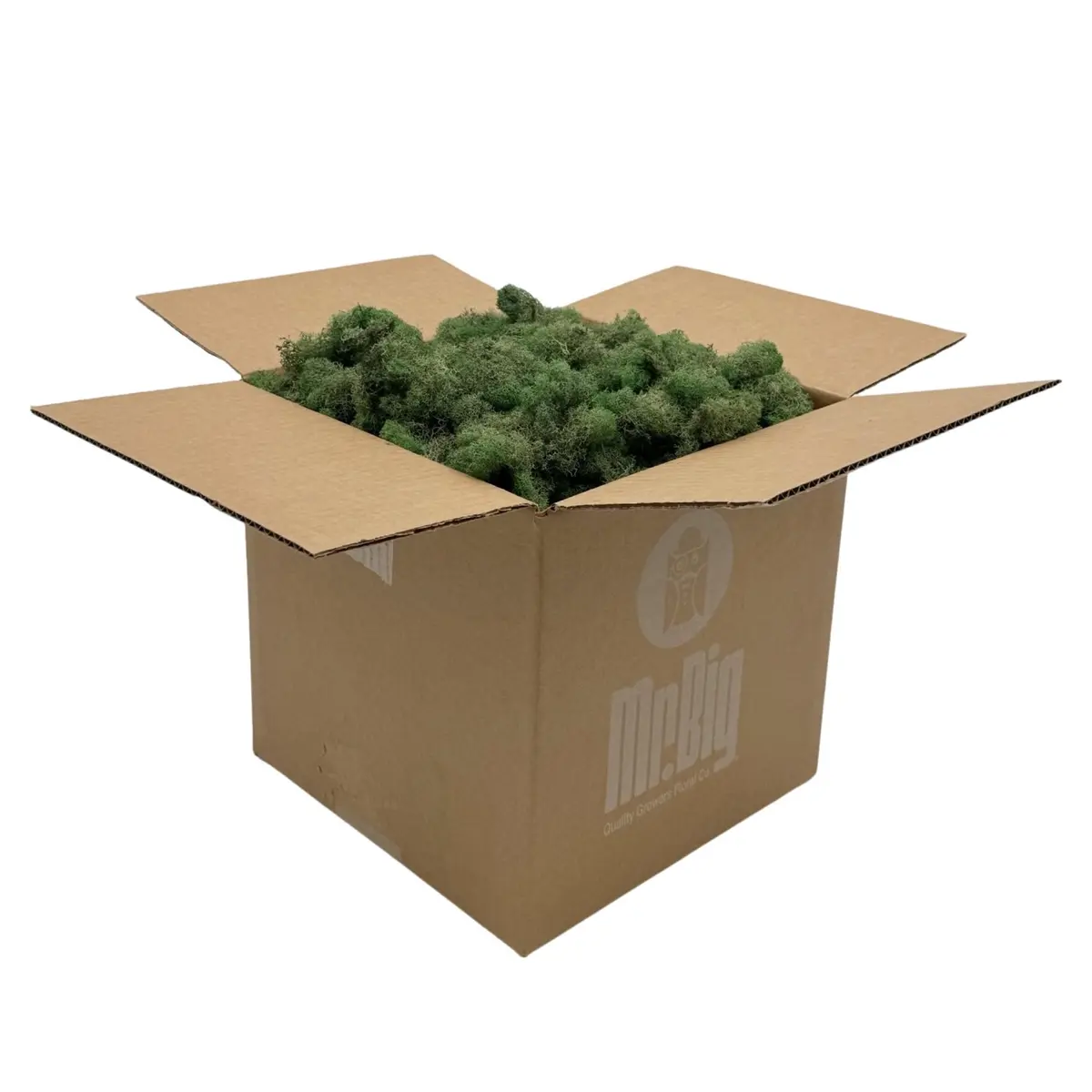 Quality Growers Reindeer Moss Bulk | Preserved Moss for Crafts & Decor, 12 sq. ft - main product image