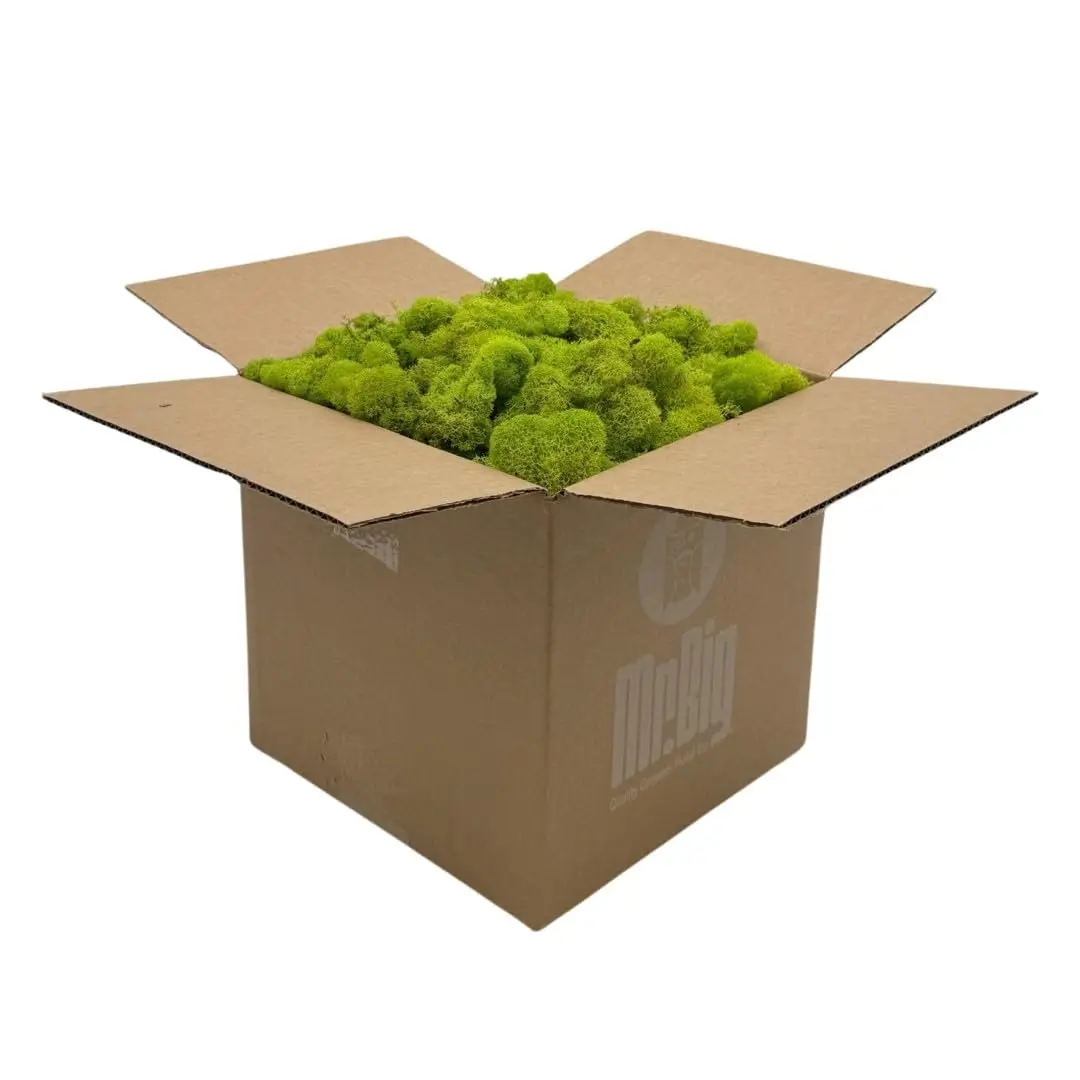 Quality Growers Preserved Reindeer Moss Bulk, Chartreuse, 12" Box | Natural Decorative Crafting Material - main product image