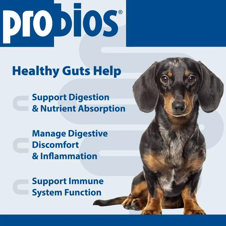 Probios Dog Probiotic Soft Chews, Chicken Liver, 120 Count | Gut & Immune Support for Medium & Large Dogs - view 6