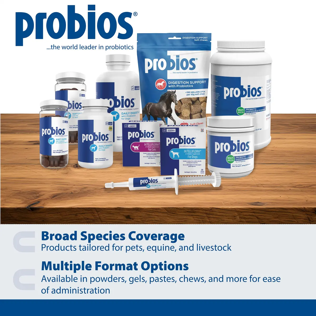 Probios Intelliflora Dog Probiotic Powder 30 Sachets | Shelf-Stable, 200 Million CFU/g, Supports Digestion & Immunity - view 7