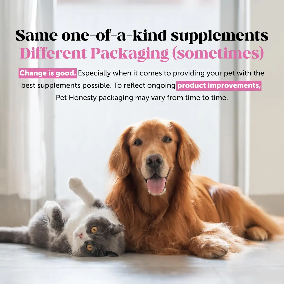Pet Honesty Omega 3 Fish Oil for Dogs and Cats 16oz (473ml) | Supports Skin, Coat, Joints, and Immunity - view 9