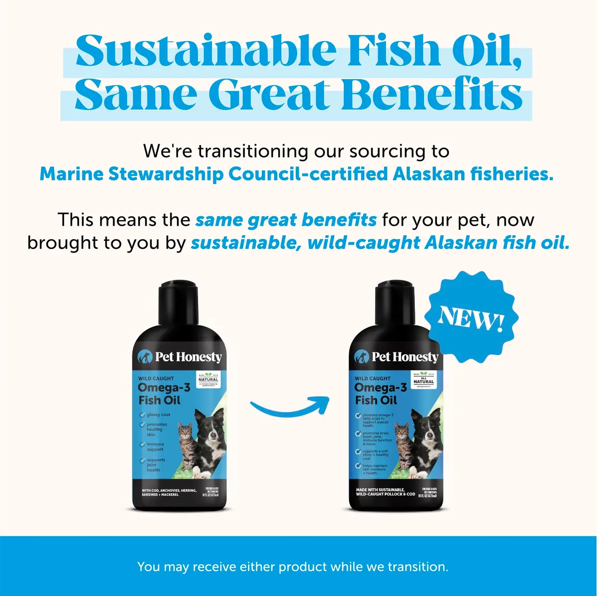 Pet Honesty Omega 3 Fish Oil for Dogs and Cats 16oz (473ml) | Supports Skin, Coat, Joints, and Immunity - view 3