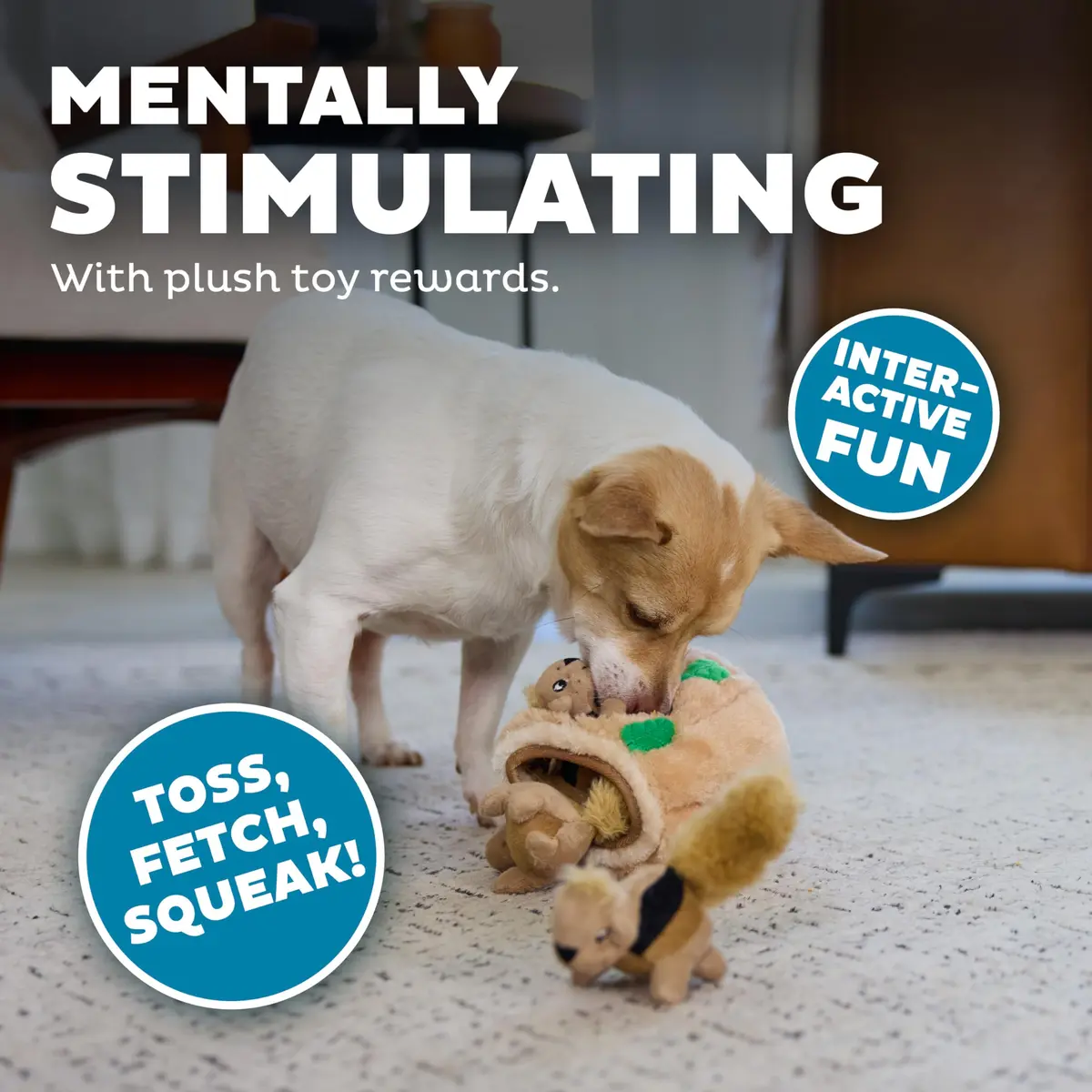 Outward Hound Hide-A-Squirrel Interactive Plush Dog Toy Puzzle with 3 Squeaky Squirrels, Small (Pack of 12) - view 4